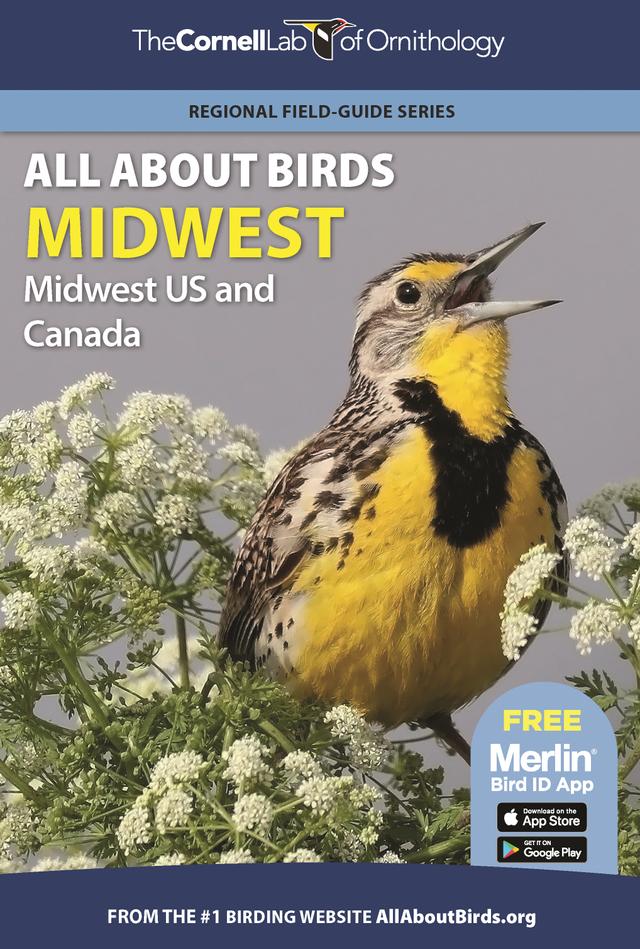 All About Birds Midwest by 
