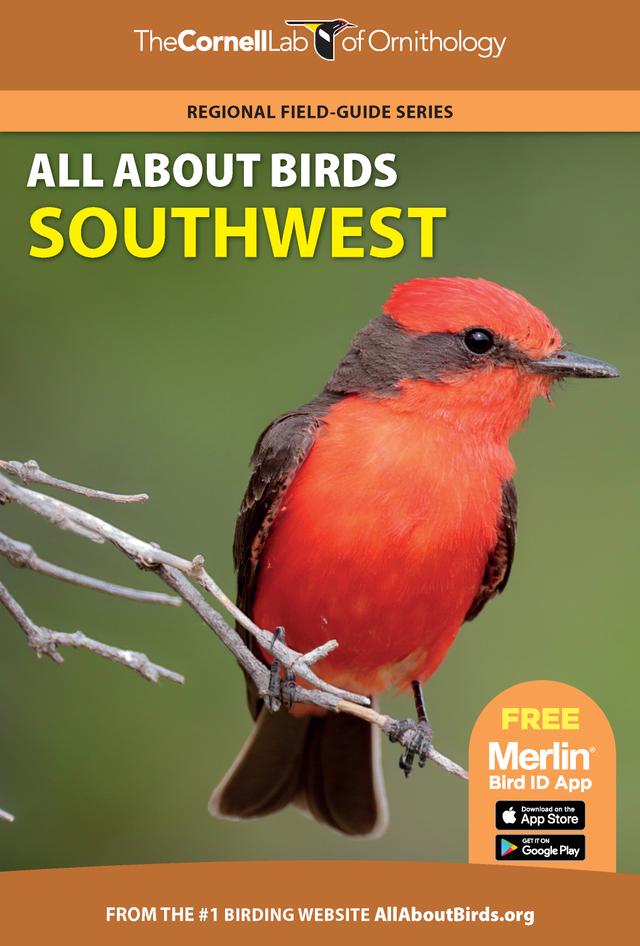 All About Birds Southwest by 