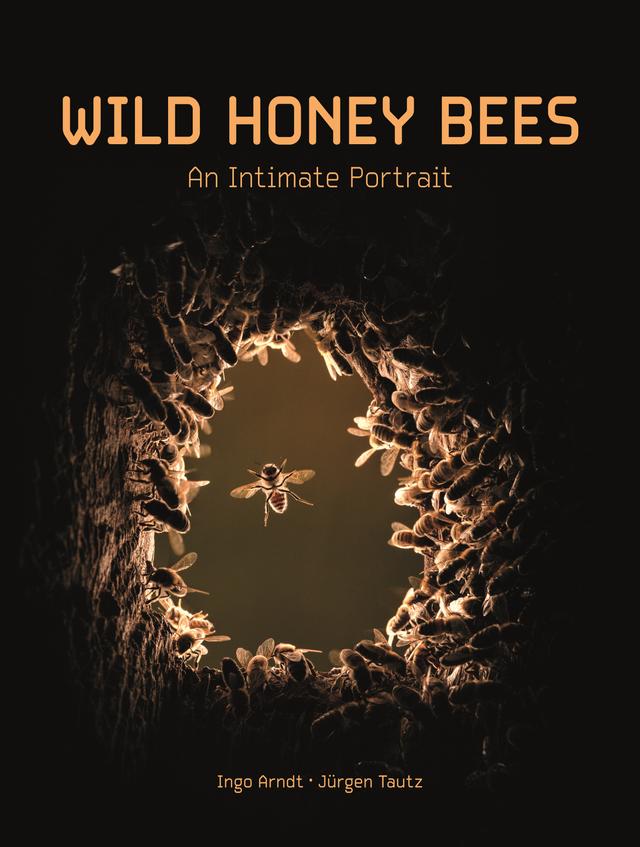 Wild Honey Bees by Ingo Arndt, Jürgen Tautz, Thomas D. Seeley