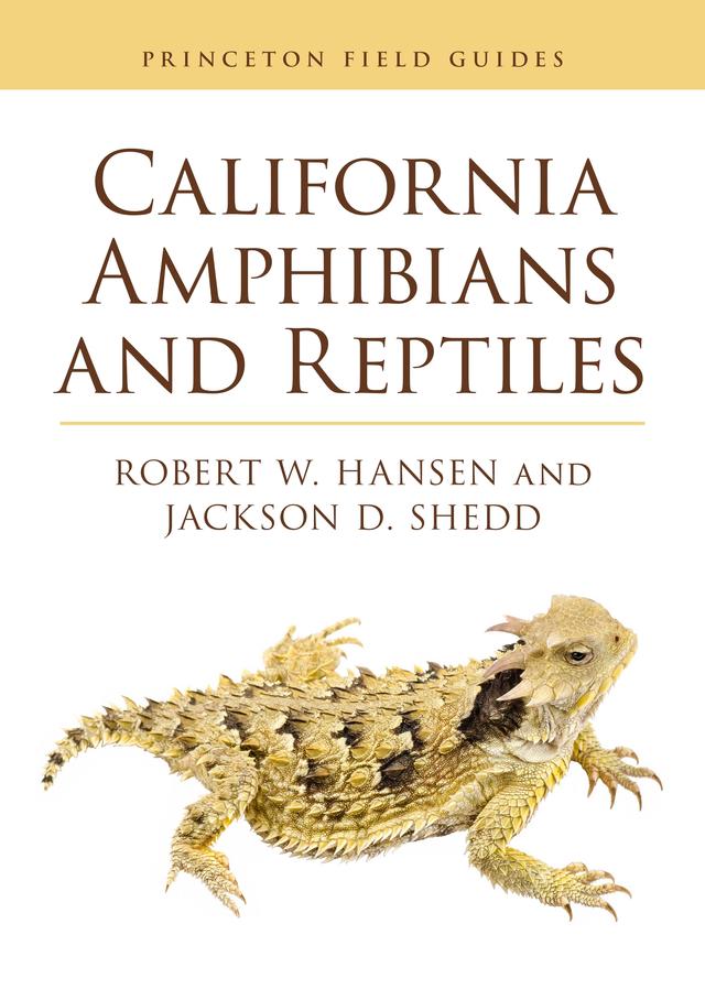 California Amphibians and Reptiles by Jackson D. Shedd, Robert Hansen