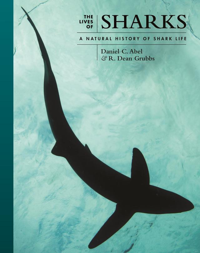 The Lives of Sharks by Daniel Abel, R. Dean Grubbs