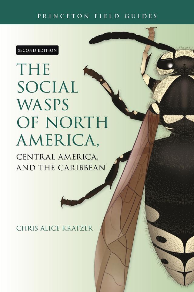 The Social Wasps of North America, Central America, and the Caribbean, Second Edition by Chris Alice Kratzer