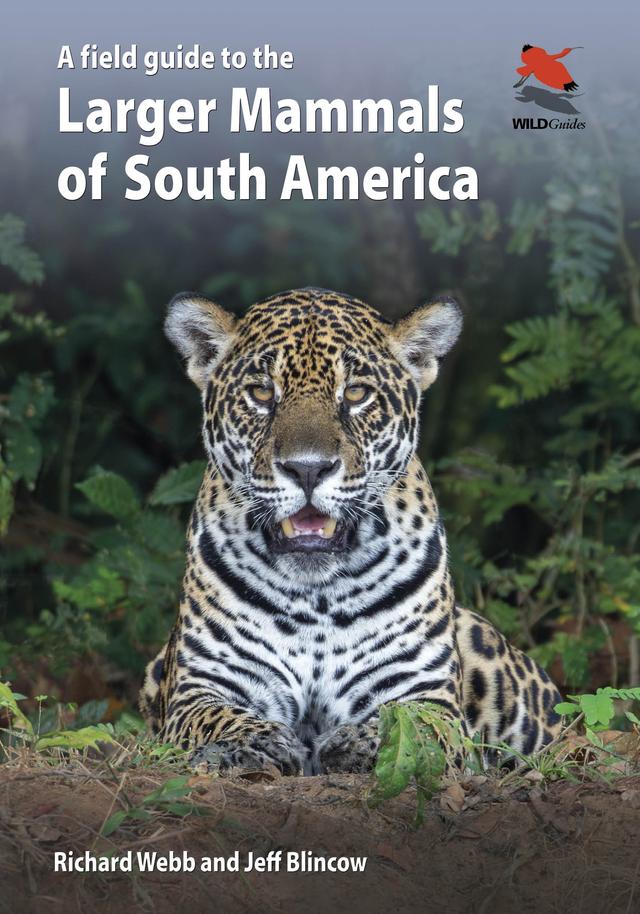 A Field Guide to the Larger Mammals of South America by Jeff Blincow, Richard Webb