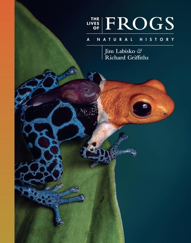 The Lives of Frogs by Jim Labisko, Richard Griffiths
