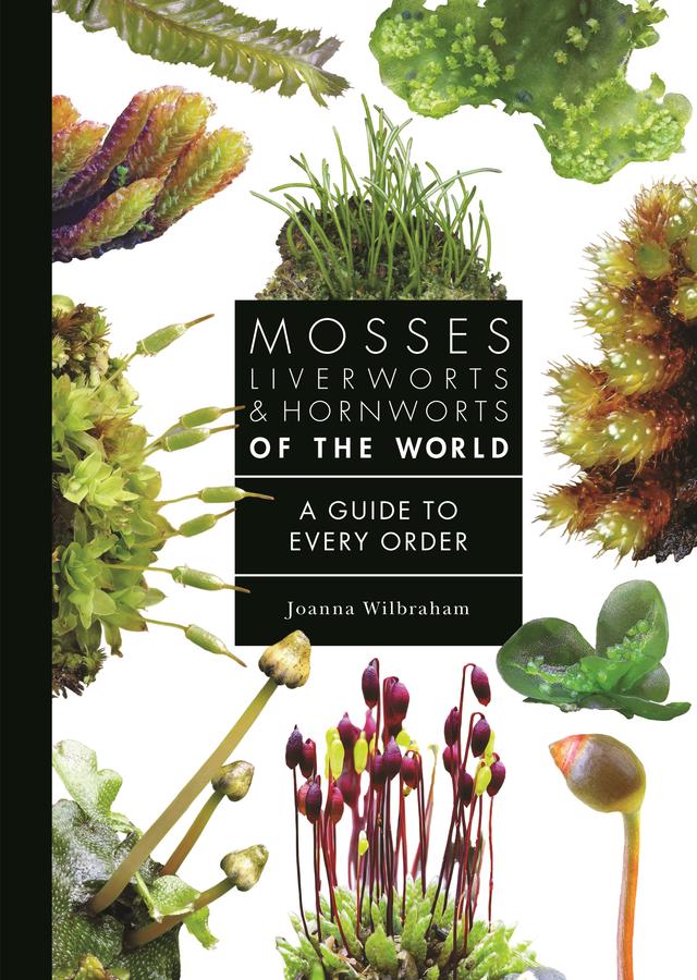 Mosses, Liverworts, and Hornworts of the World by Joanna Wilbraham