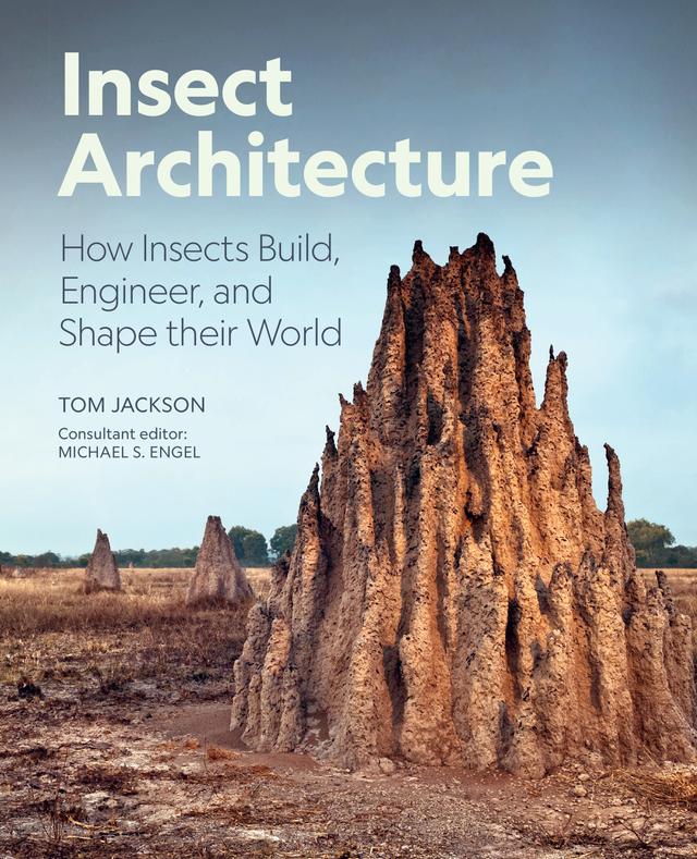 Insect Architecture by Michael S. Engel, Tom Jackson
