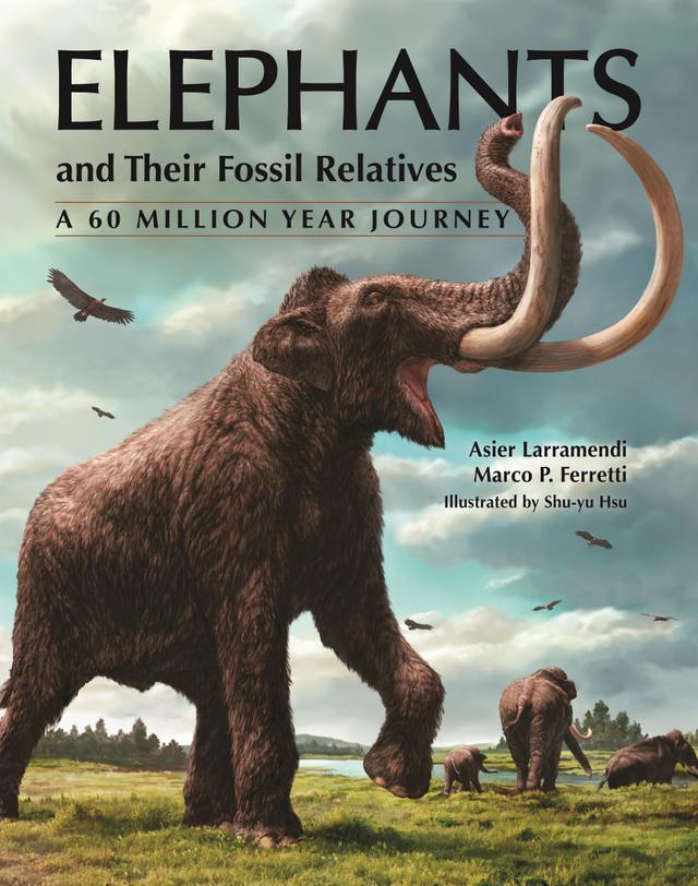 Elephants and Their Fossil Relatives by Asier Larramendi, Marco P. Ferretti