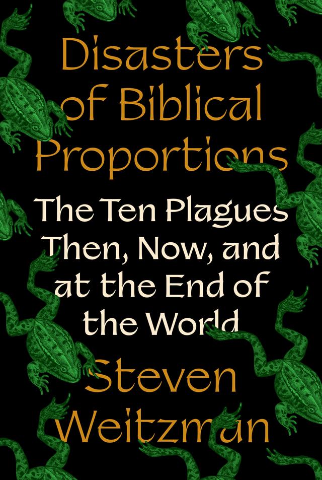 Disasters of Biblical Proportions by Steven Weitzman