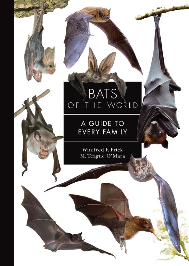 Bats of the World by M. Teague O'Mara, Winifred Frick