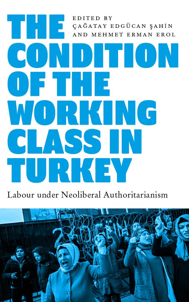 The Condition of the Working Class in Turkey by Çaatay Edgücan Şahin, Mehmet Erman Erol