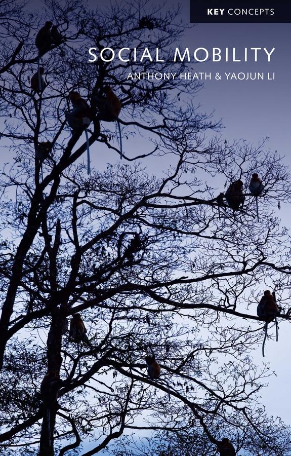 Social Mobility by Anthony Heath, Yaojun Li