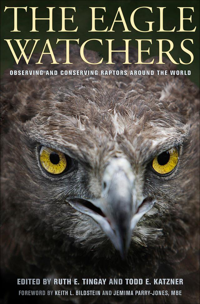 The Eagle Watchers by Jemima Parry-Jones, Keith L. Bildstein, Ruth Tingay, Todd Katzner