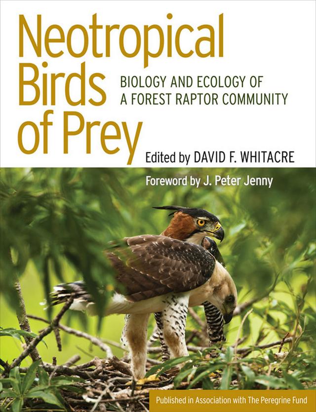 Neotropical Birds of Prey by David Whitacre, J. Peter Jenny