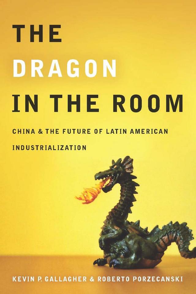 The Dragon in the Room by Kevin Gallagher, Roberto Porzecanski