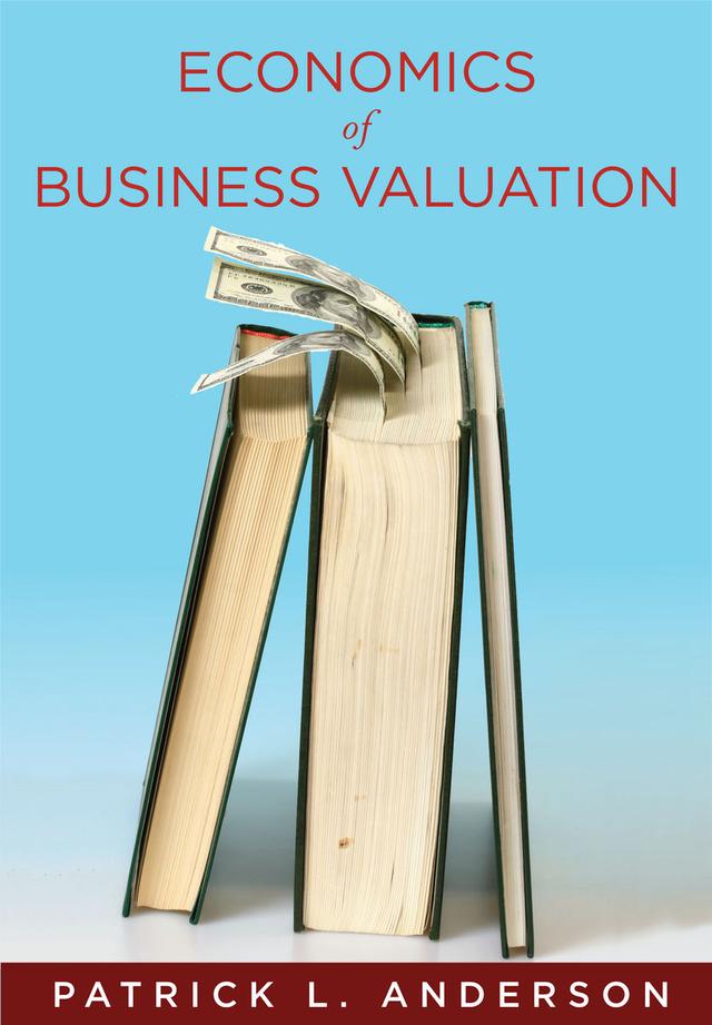 The Economics of Business Valuation by Patrick Anderson