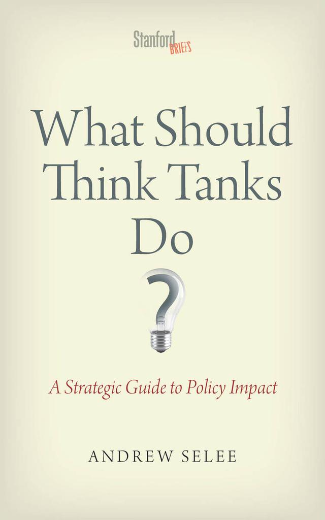 What Should Think Tanks Do? by Negar Mottahedeh