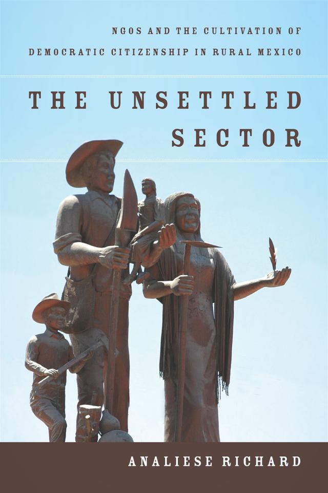 The Unsettled Sector by Analiese Richard