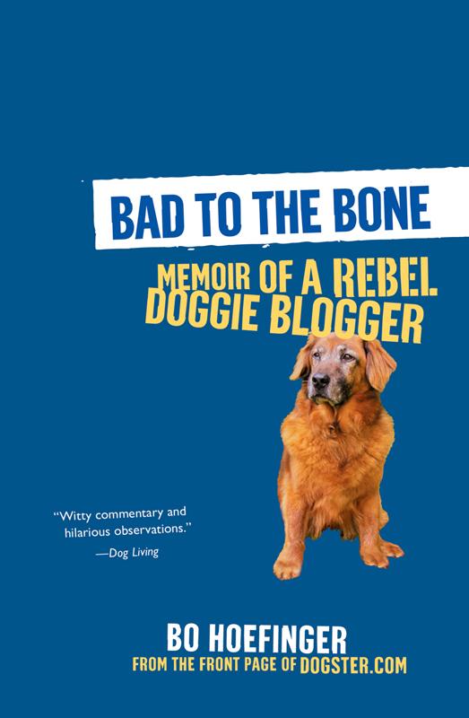 Bad to the Bone: by Bo Hoefinger