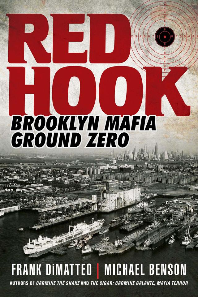 Red Hook by Frank DiMatteo, Michael Benson