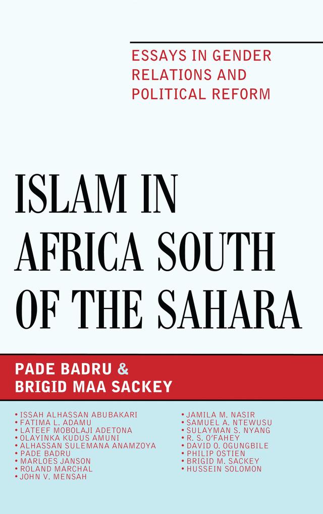 Islam in Africa South of the Sahara by Brigid M. Sackey, Pade Badru