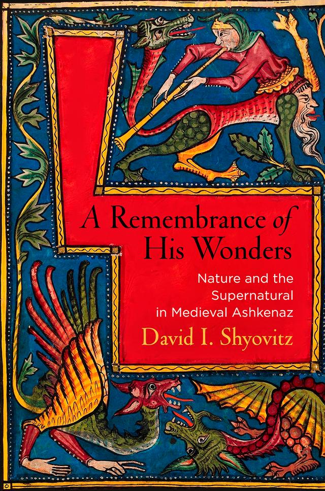 A Remembrance of His Wonders by David I. Shyovitz
