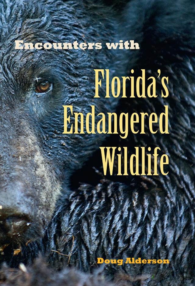 Encounters with Florida's Endangered Wildlife by Doug Alderson