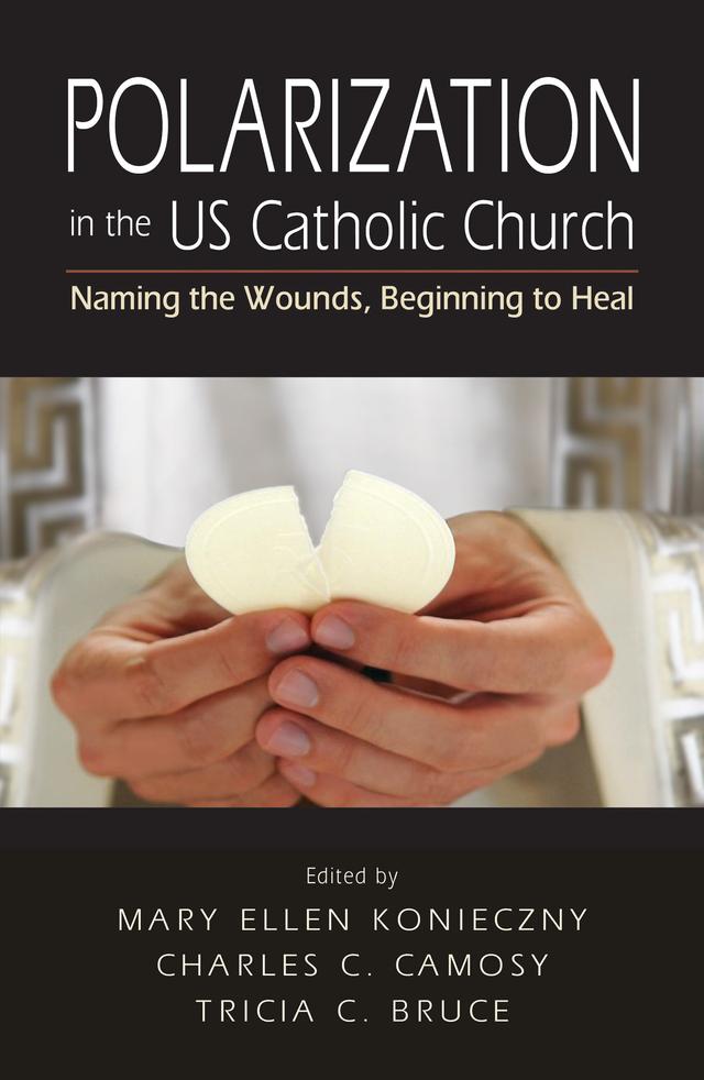 Polarization in the US Catholic Church by Charles C. Camosy, Mary Ellen Konieczny, Tricia C. Bruce