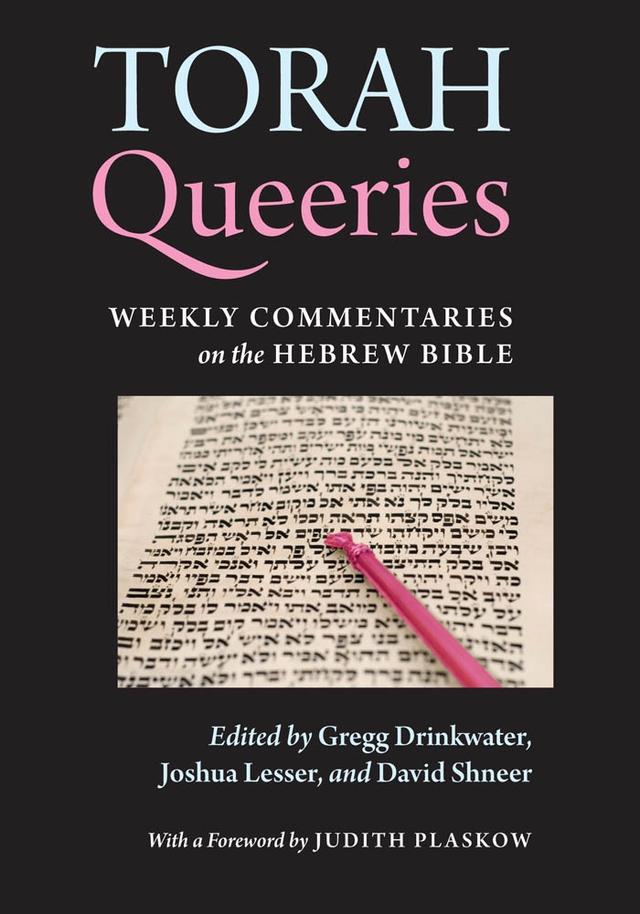Torah Queeries by David Shneer, Gregg Drinkwater, Joshua Lesser, Judith Plaskow