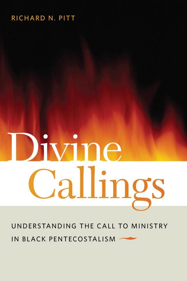 Divine Callings by Richard N.  Pitt