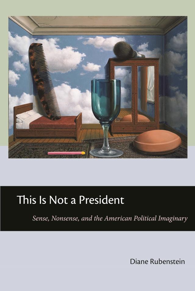 This Is Not a President by Diane Rubenstein