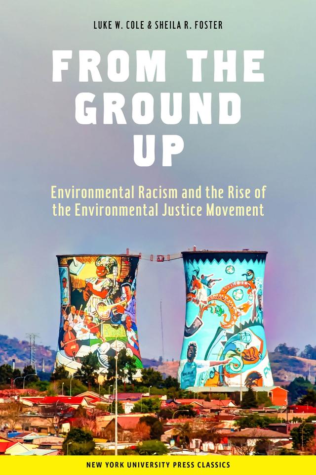 From the Ground Up by Luke W. Cole, Sheila R. Foster