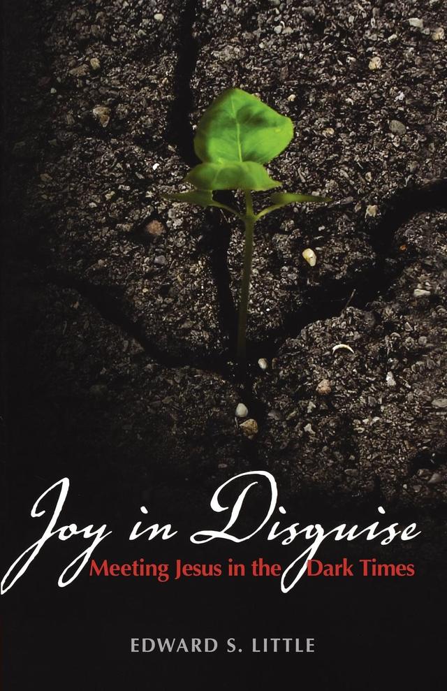 Joy in Disguise by Edward S. Little