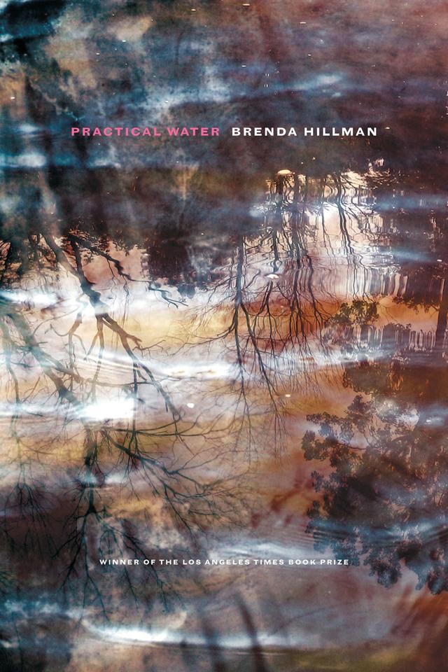 Practical Water by Brenda Hillman