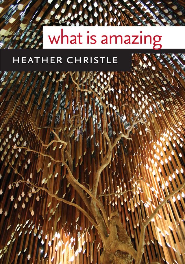 What Is Amazing by Heather Christle