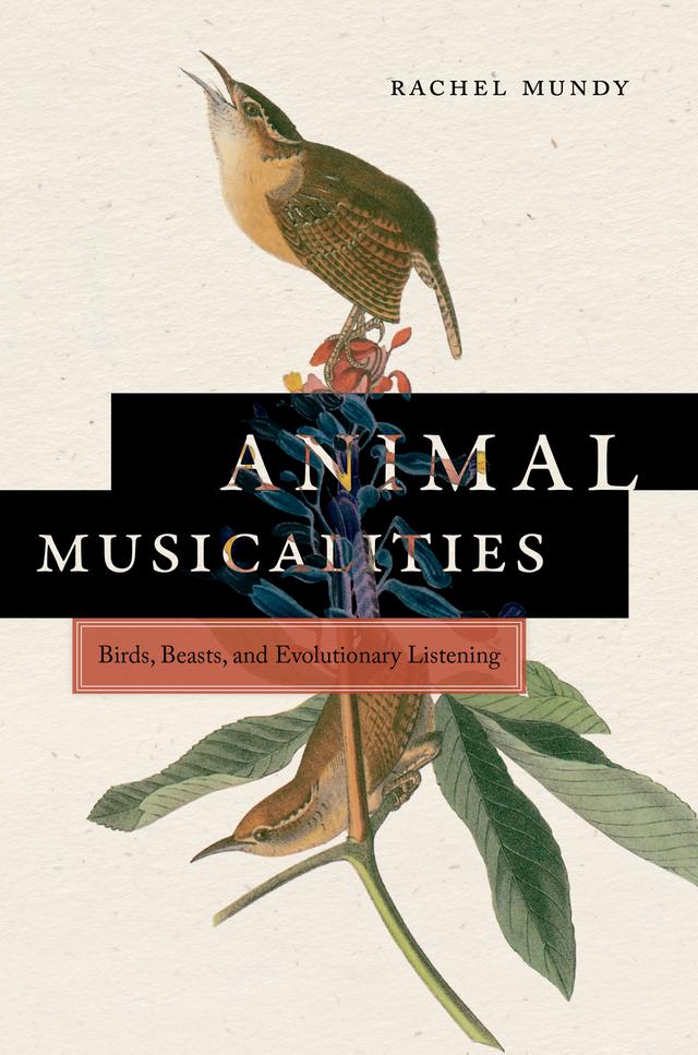 Animal Musicalities by Rachel Mundy