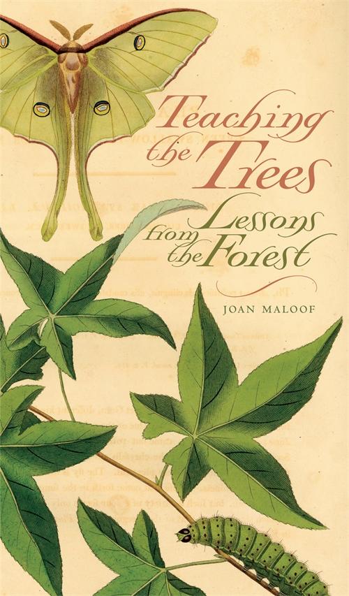 Teaching the Trees by Joan Maloof