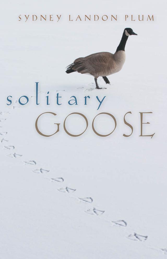 Solitary Goose by Sydney Landon Plum