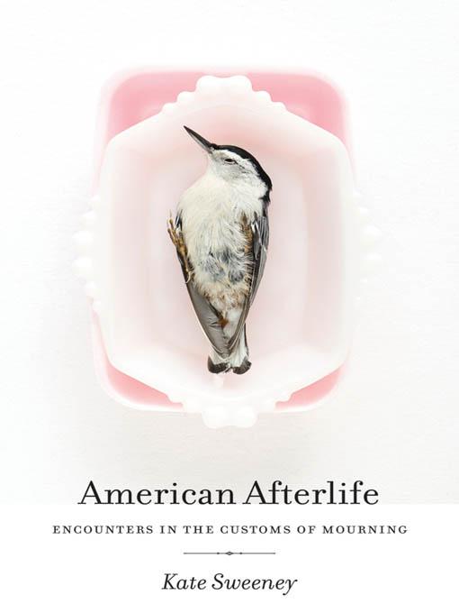 American Afterlife by Kate Sweeney