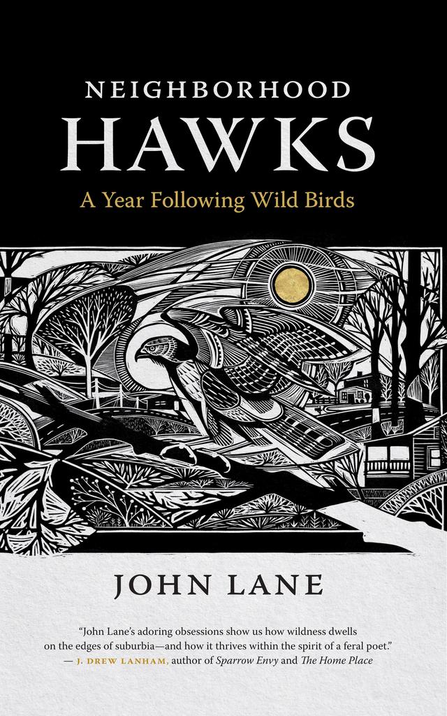 Neighborhood Hawks by Helen Correll, John Lane
