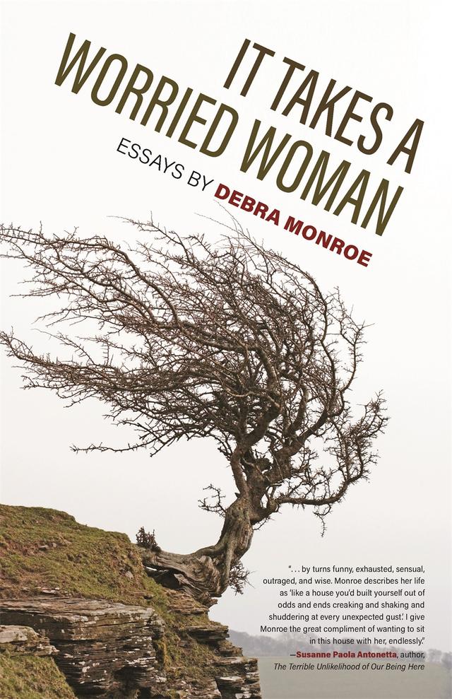 It Takes a Worried Woman by Debra Monroe