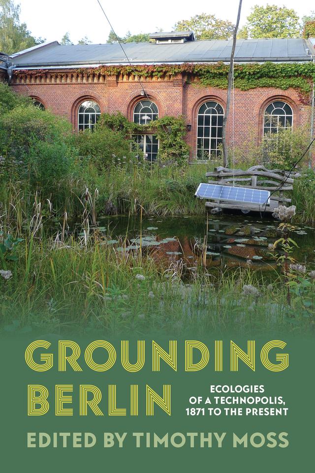 Grounding Berlin by Timothy Moss