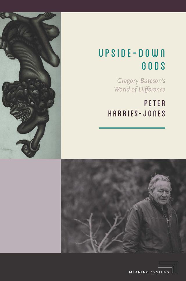 Upside-Down Gods by Peter Harries-Jones