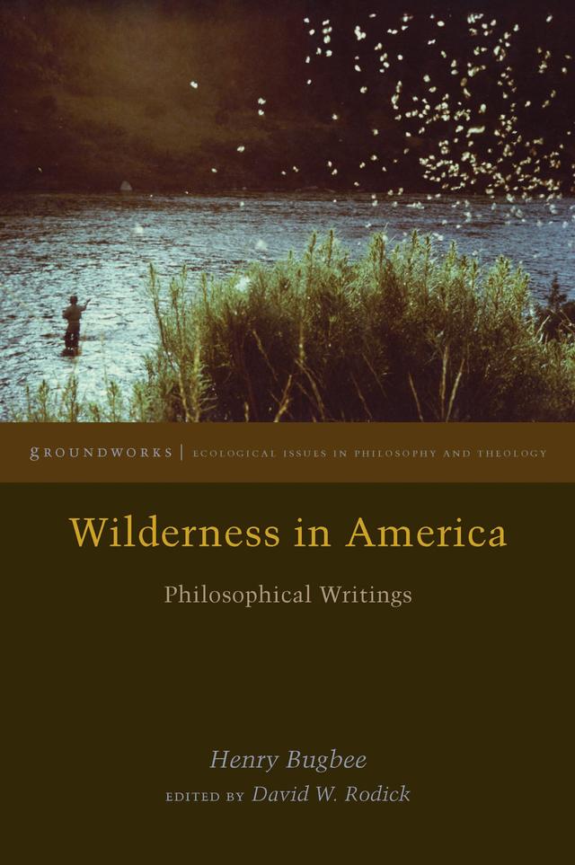 Wilderness in America by David W. Rodick, Henry Bugbee