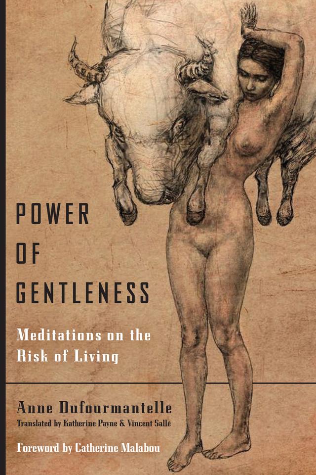 Power of Gentleness by Anne Dufourmantelle, Catherine Malabou, Katherine Payne, Vincent Sallé