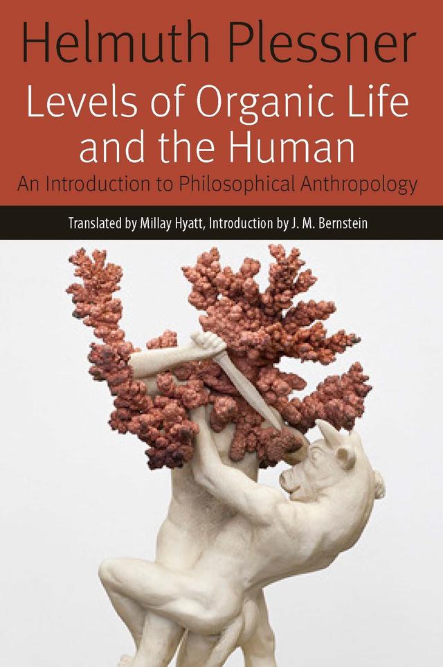 Levels of Organic Life and the Human by Helmuth Plessner, J. M. Bernstein, Millay Hyatt