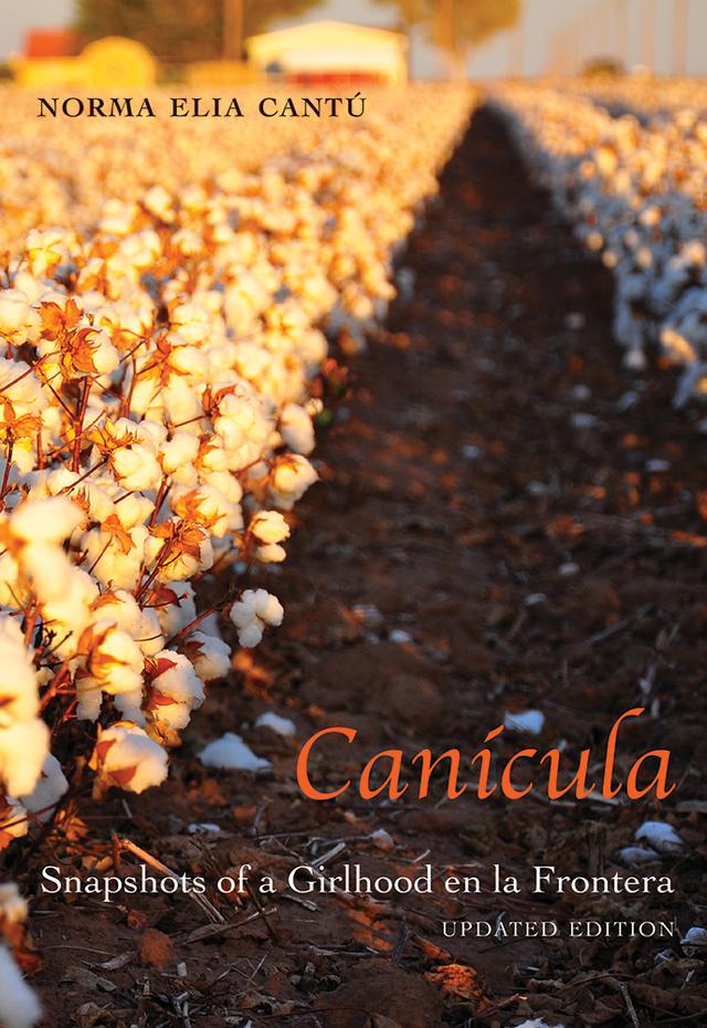 Canícula by Norma Elia Cantú