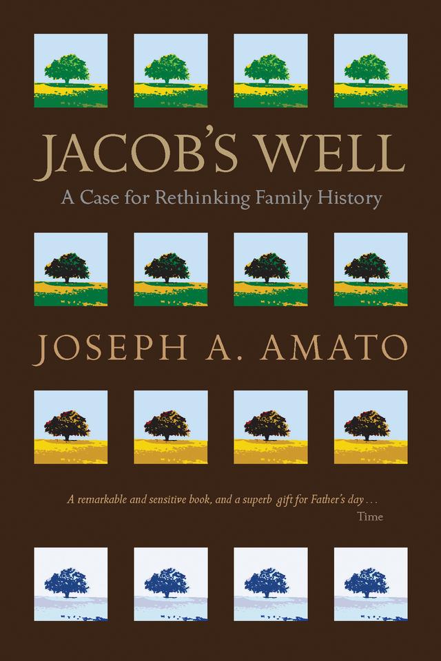 Jacob's Well by Joseph  Amato