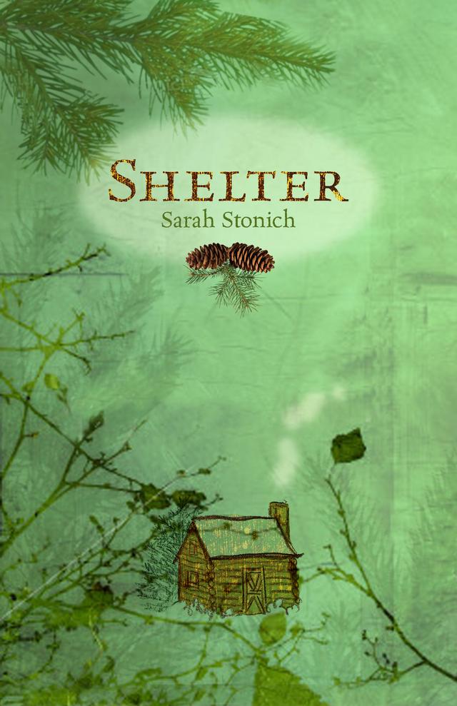 Shelter by Sarah  Stonich