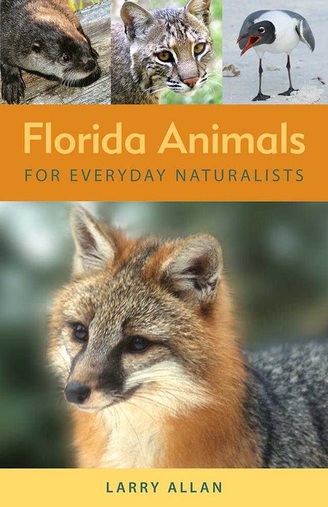 Florida Animals for Everyday Naturalists by Larry Allan