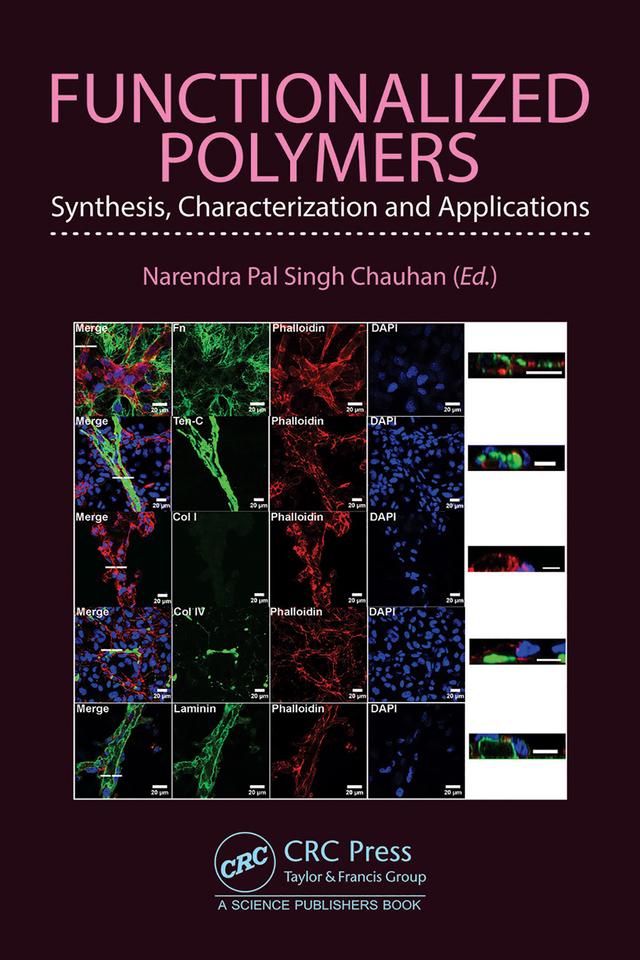 Functionalized Polymers by Narendra Pal Singh Chauhan